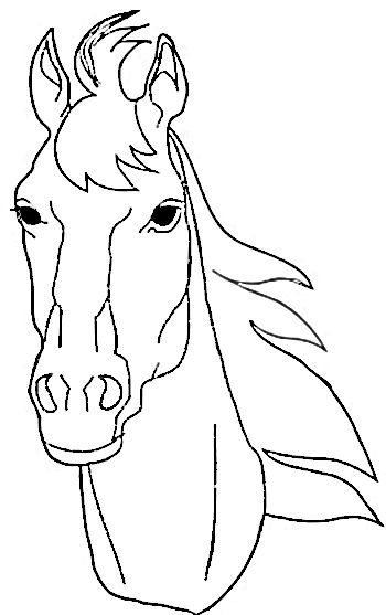 Horse coloring pages horse coloring pages horse coloring horse drawings