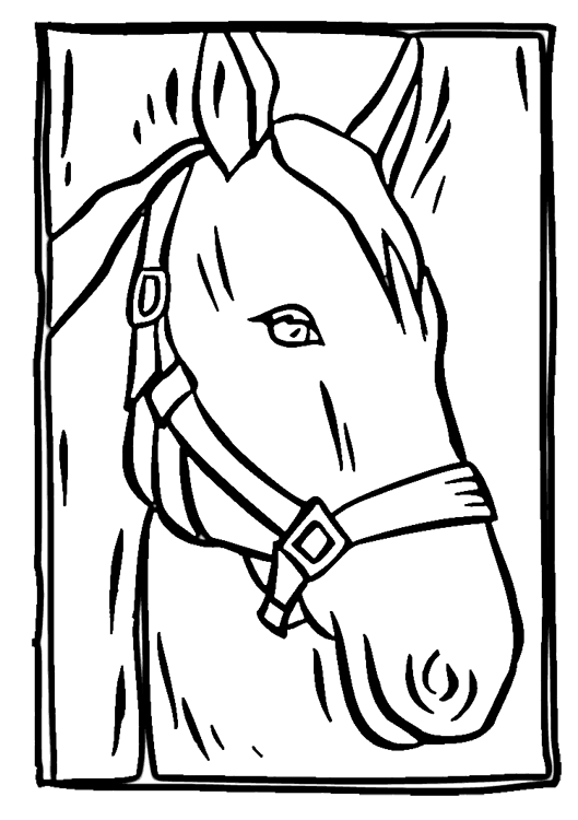 Horse head coloring page purple kitty