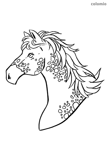 Horses coloring pages free printable horse coloring sheets