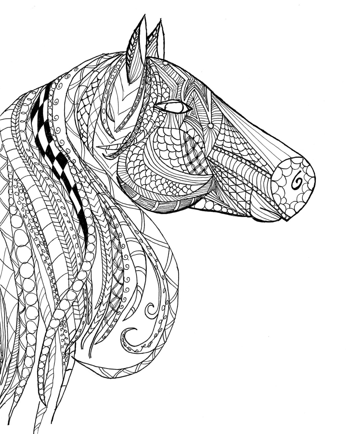 Horse coloring pages for adults