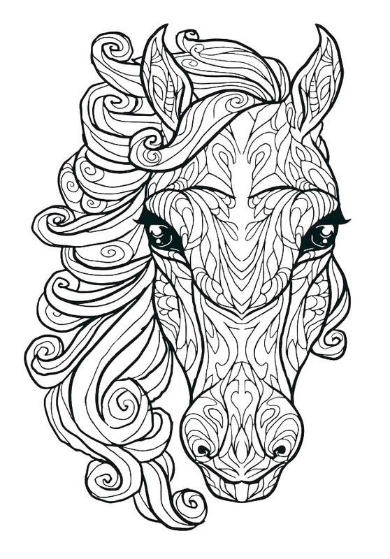 Ðï horse head detailed