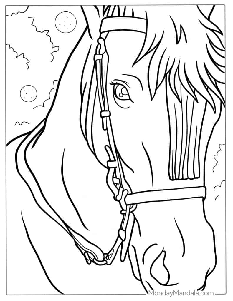 Horse coloring pages free pdf printables