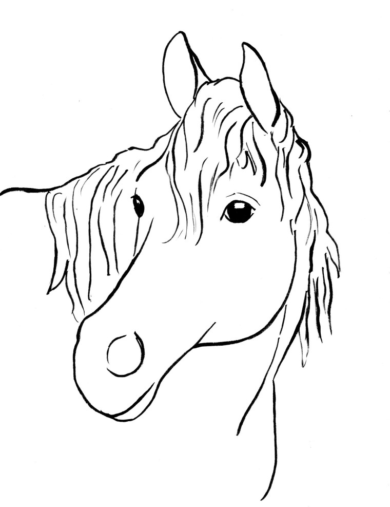 Horse coloring page