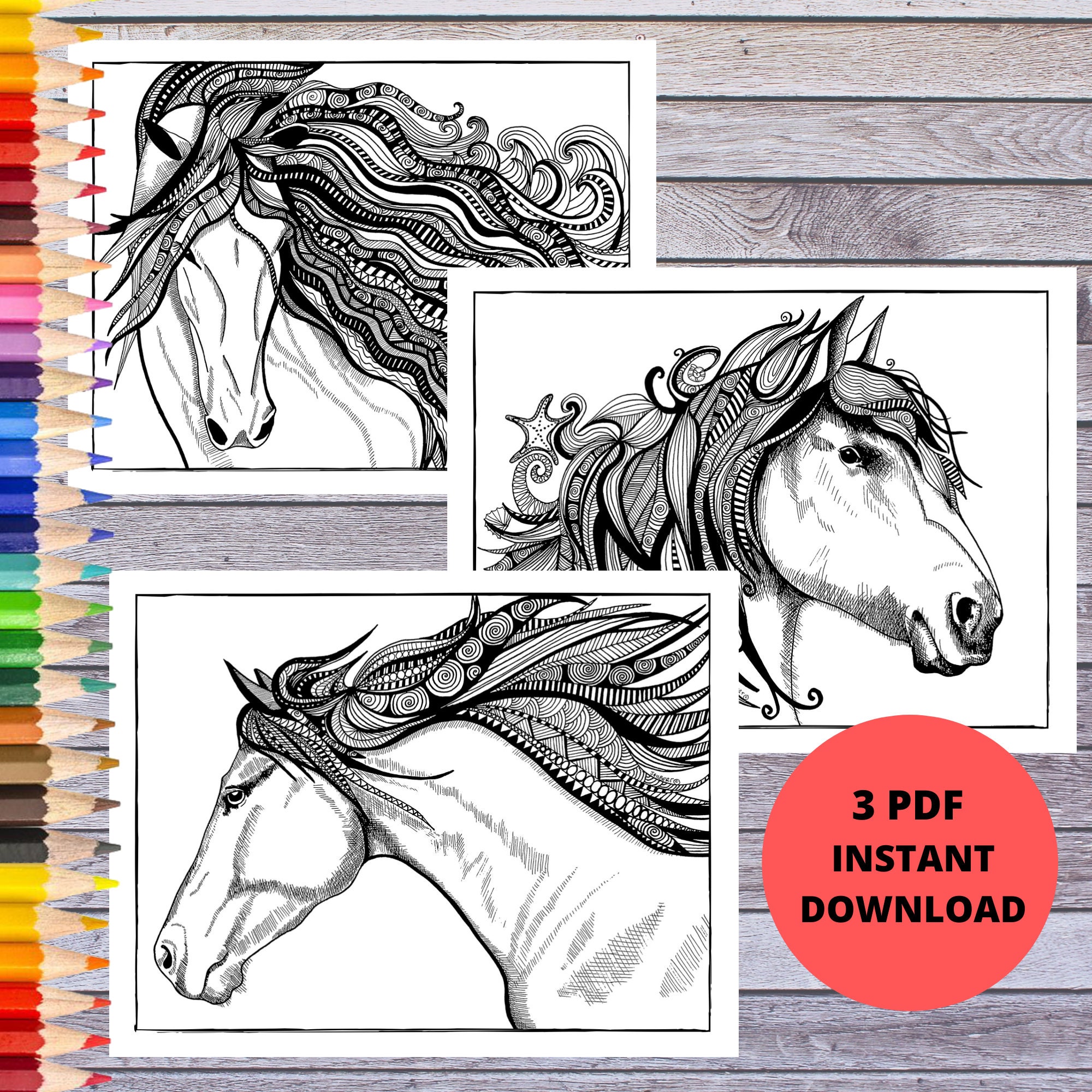 Horse coloring pages horse illustrations horse art prints pdf download printable coloring page