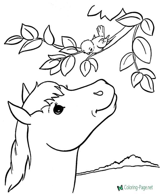 Horse coloring pages