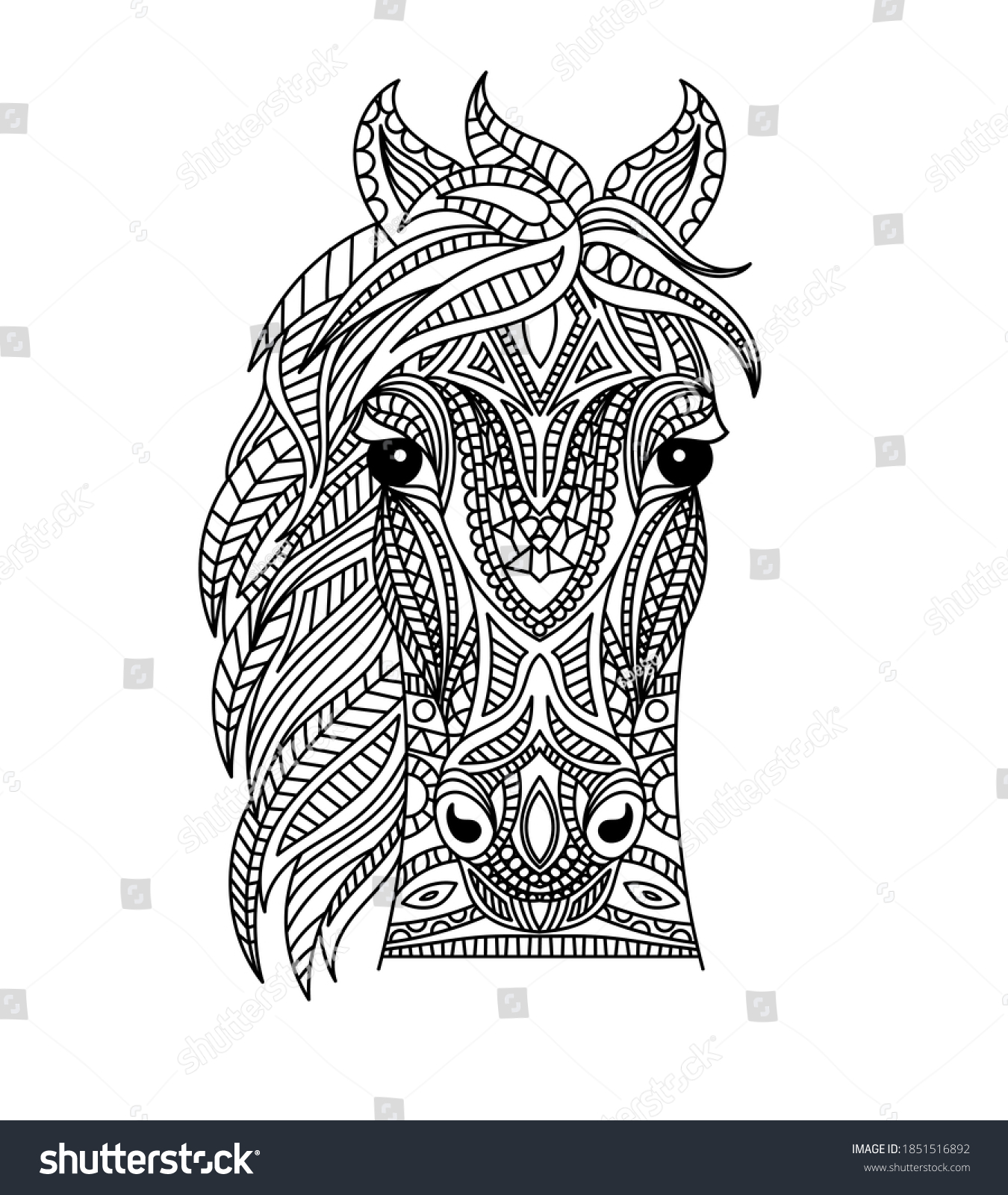 Horse head coloring book illustration antistress stock vector royalty free