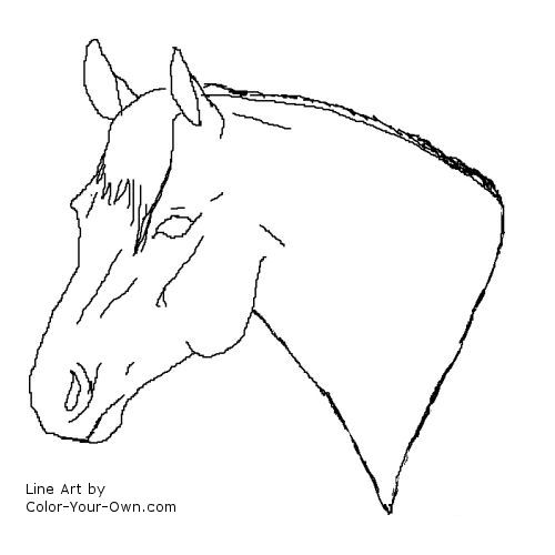 Quarter horse stallion headstudy coloring page