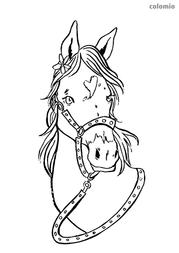 Horses coloring pages free printable horse coloring sheets