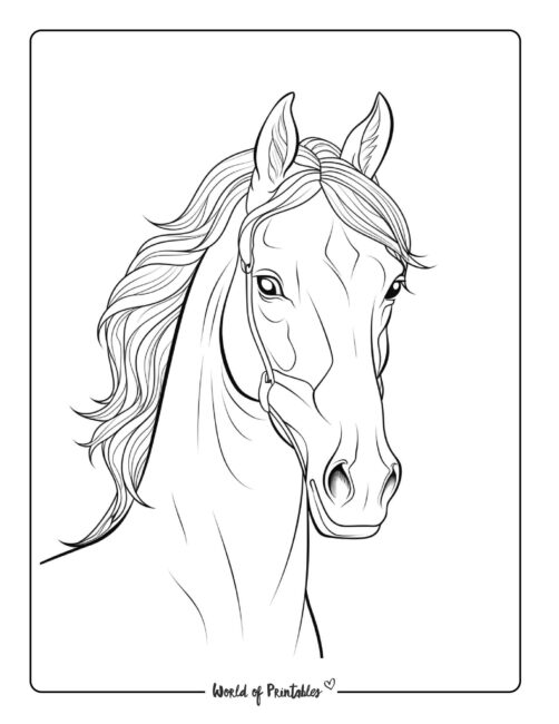 Horse coloring pages for kids adults