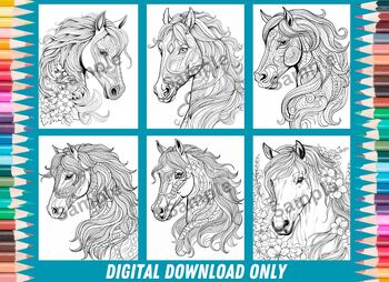 Printable horse coloring pages by read and learn tpt