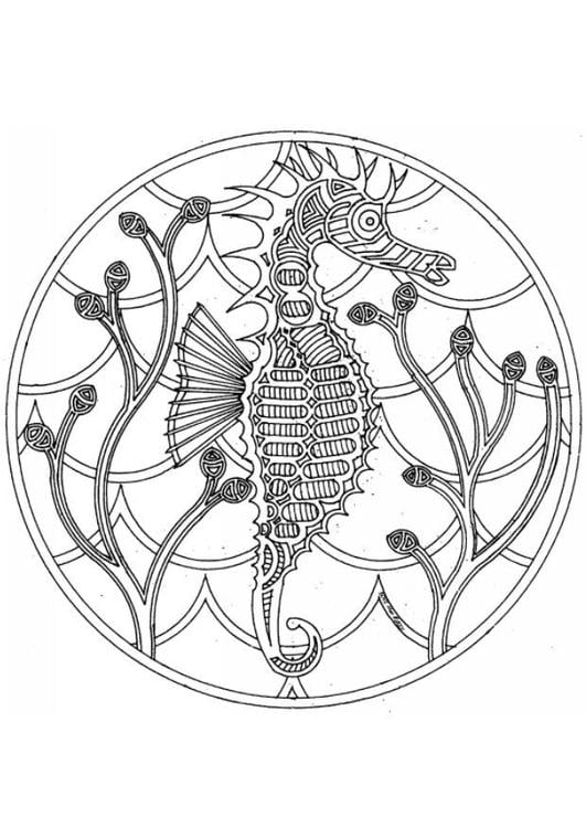 Coloring page sea horse mandala