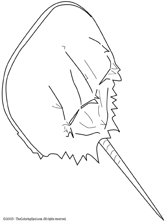 Horseshoe crab coloring page audio stories for kids free coloring pages colouring printables