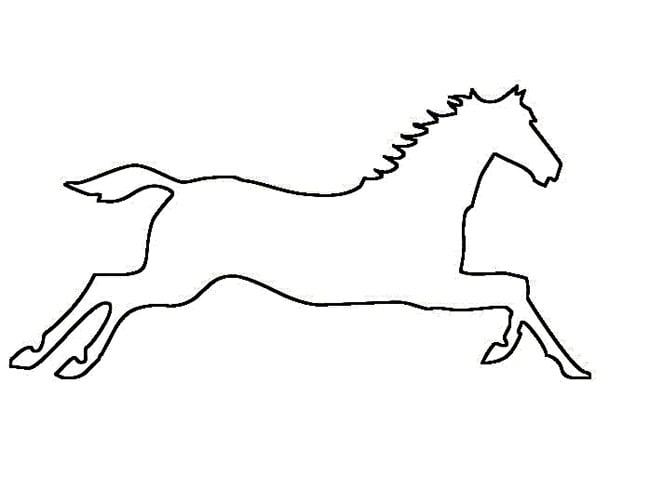 Horse