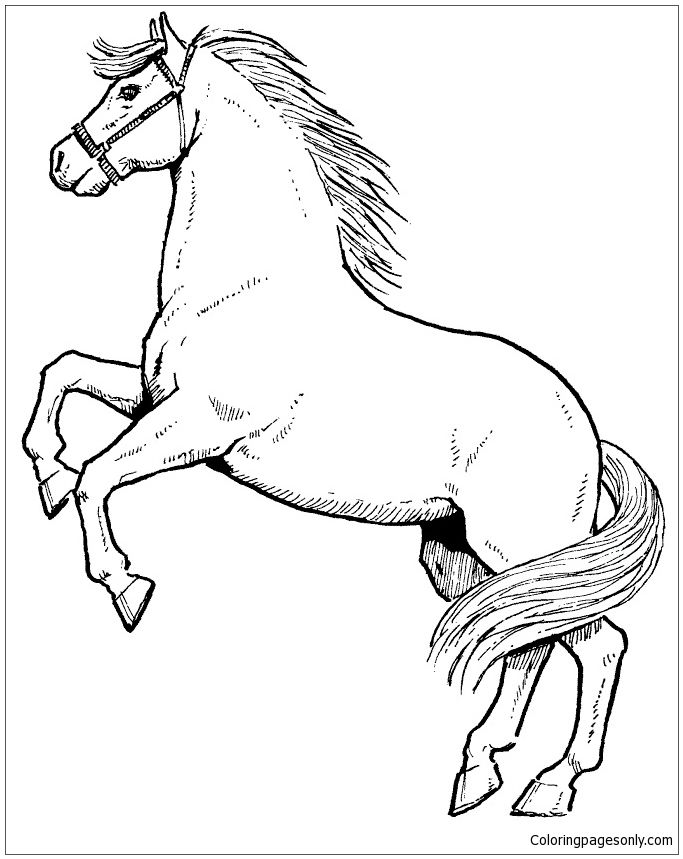 Rearing horse coloring page as you know coloring is essential to the overall development of a childâ horse coloring pages horse coloring books horse coloring