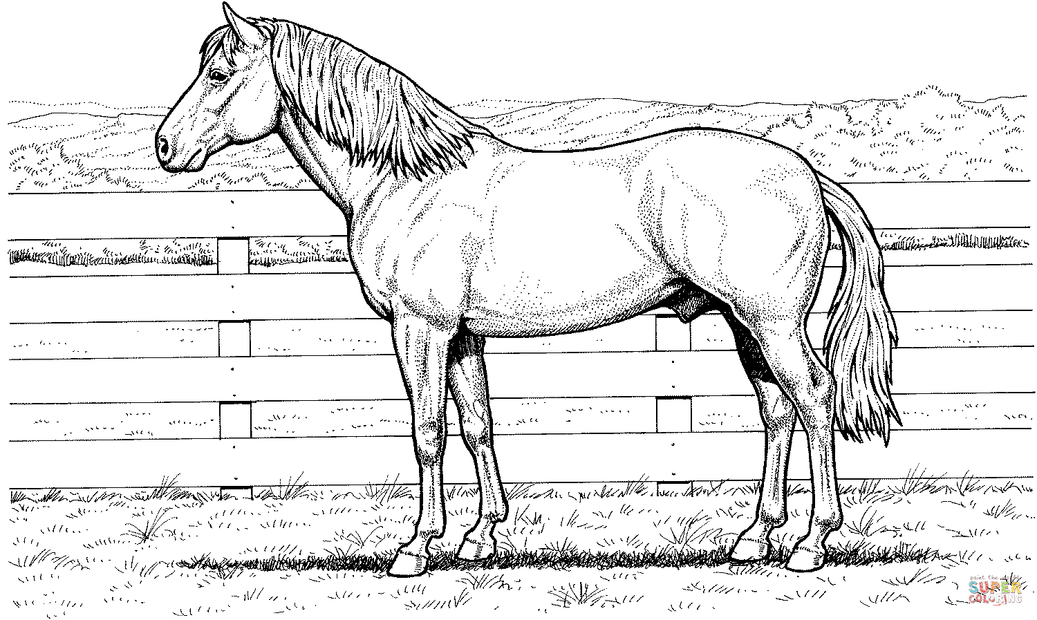 Horse stands at fence coloring page free printable coloring pages