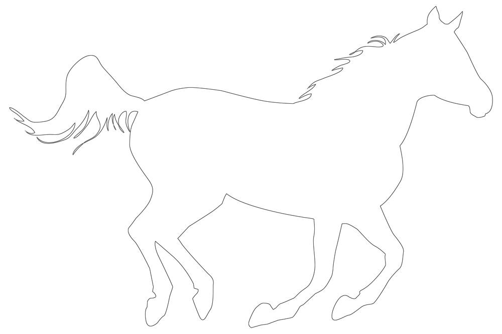 Horse outline