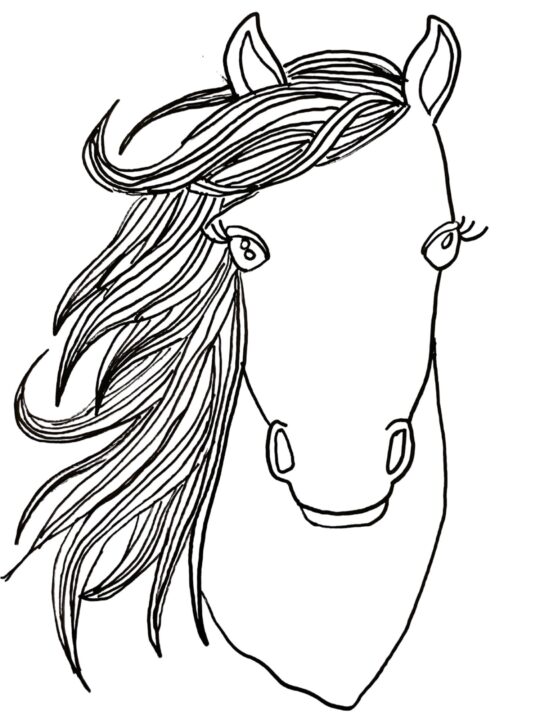 How to draw a horse head like a pro step