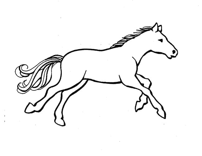 Horse