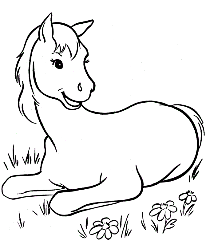 Free printable horse coloring pages for kids