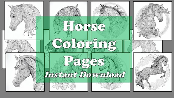 Pack stress relief coloring pages horse digital print detailed mandala instant download set coloring books adults