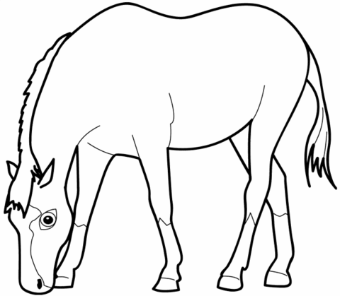 Horse eating grass coloring page free printable coloring pages