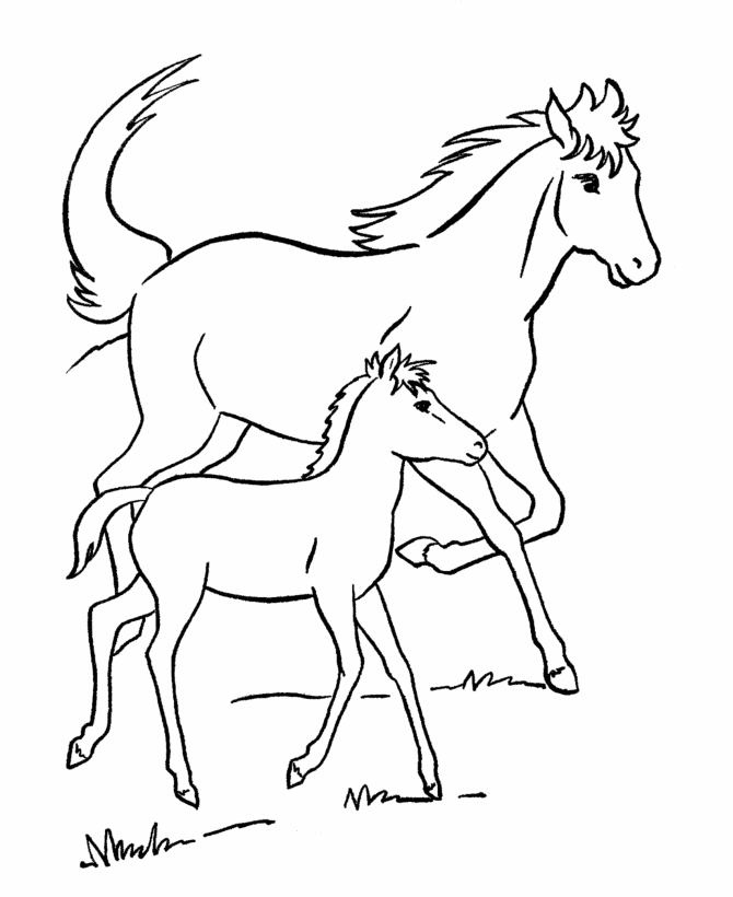 Free printable horse coloring pages for kids