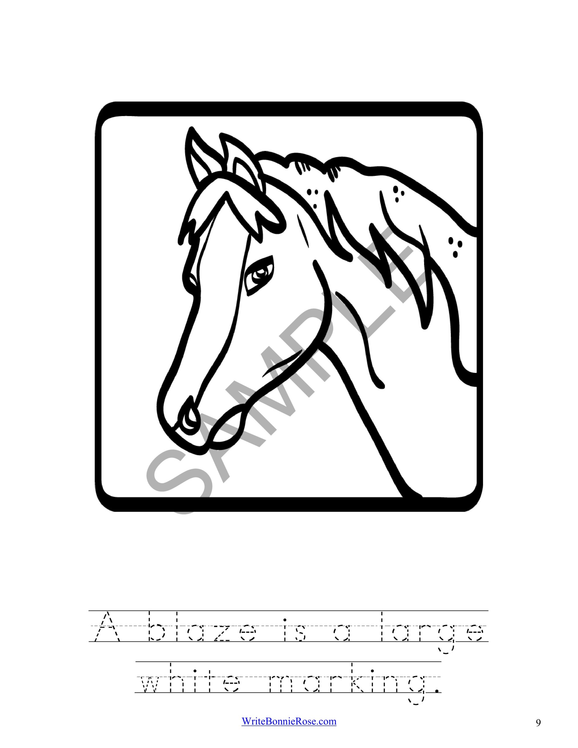 Learning about horses coloring book