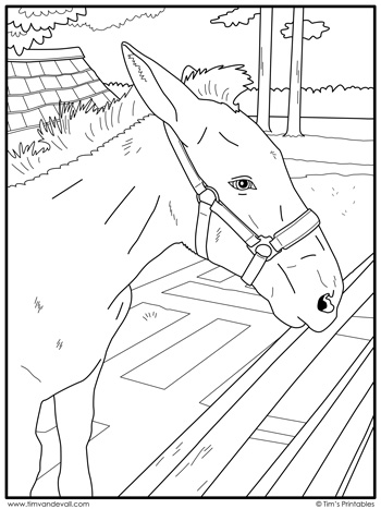 Horse coloring page â tims printables