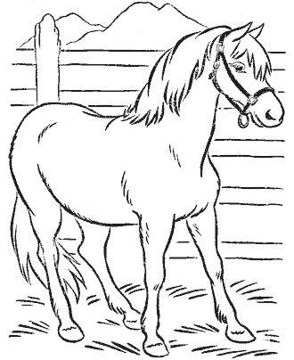 Horse coloring pages for kids