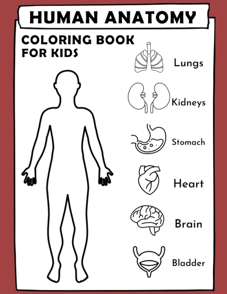 Human anatomy coloring book for kids human anatomy activity book for kids boys girls by mfh press house