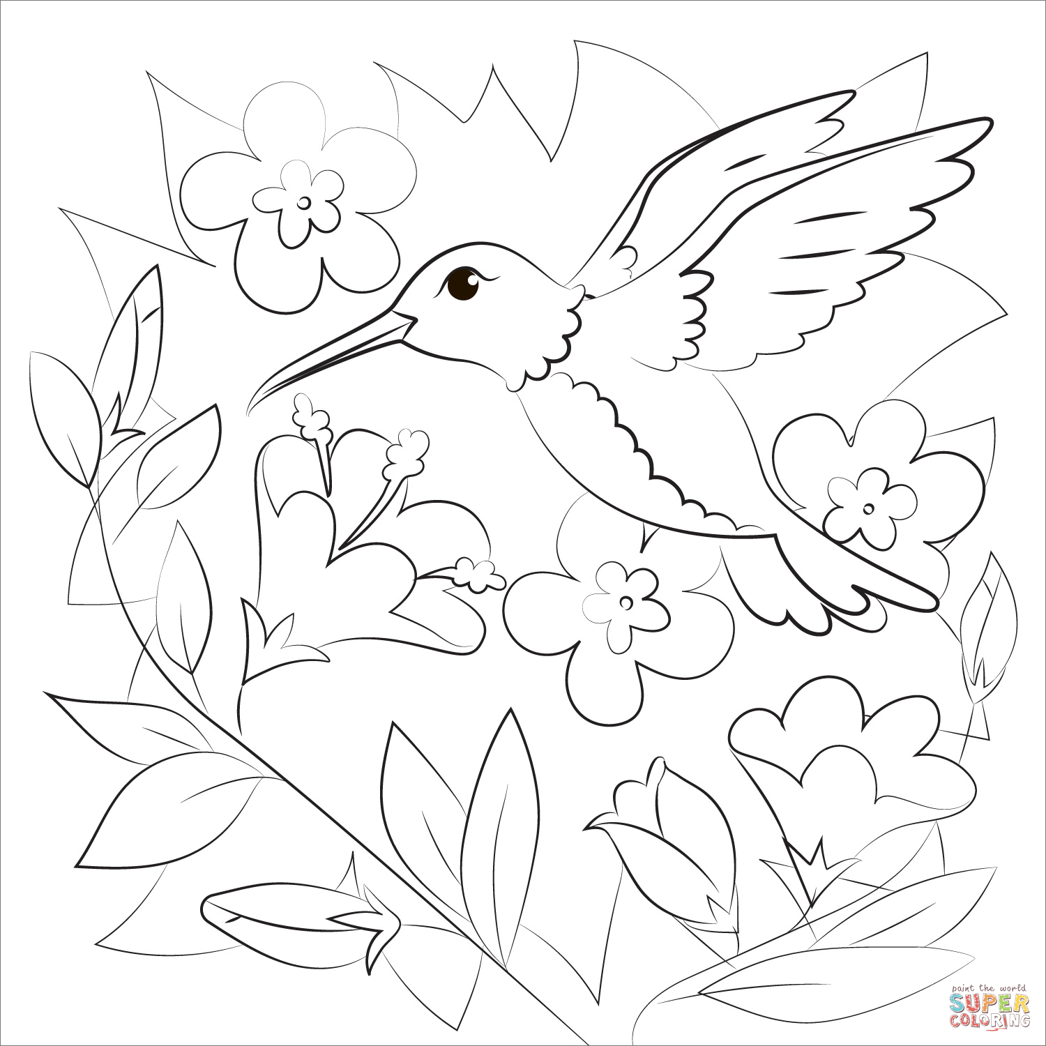 Hummingbird coloring page free printable coloring pages