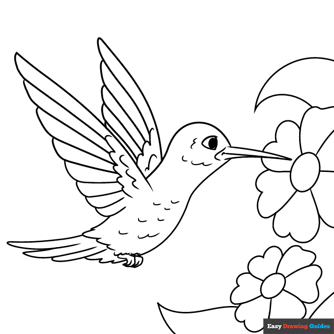 Hummingbird coloring page easy drawing guides