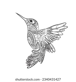 Hummingbird coloring book photos and images