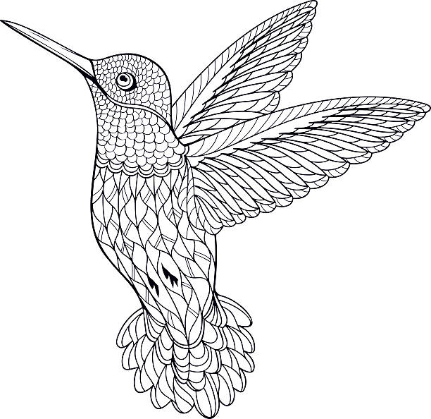 Adult bird coloring pages stock photos pictures royalty