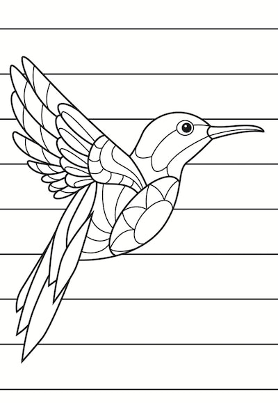 Hummingbird coloring pages free printable pages for kids