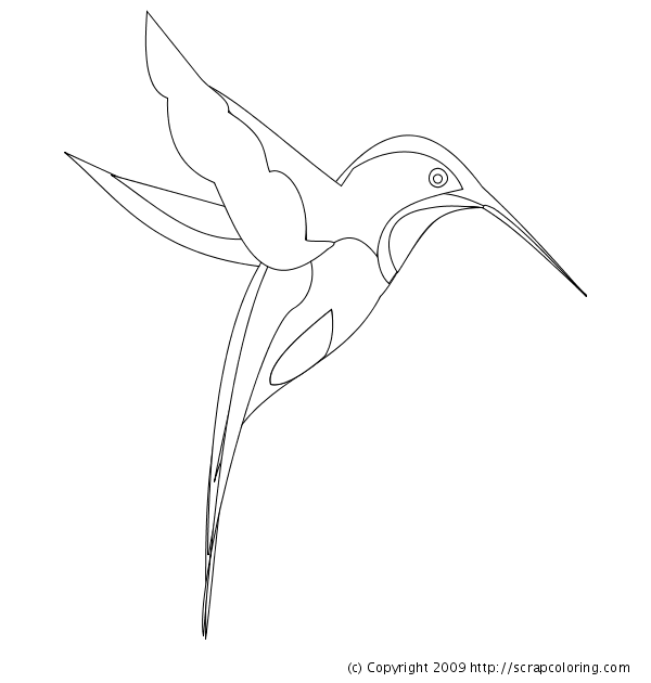 Hummingbird coloring page