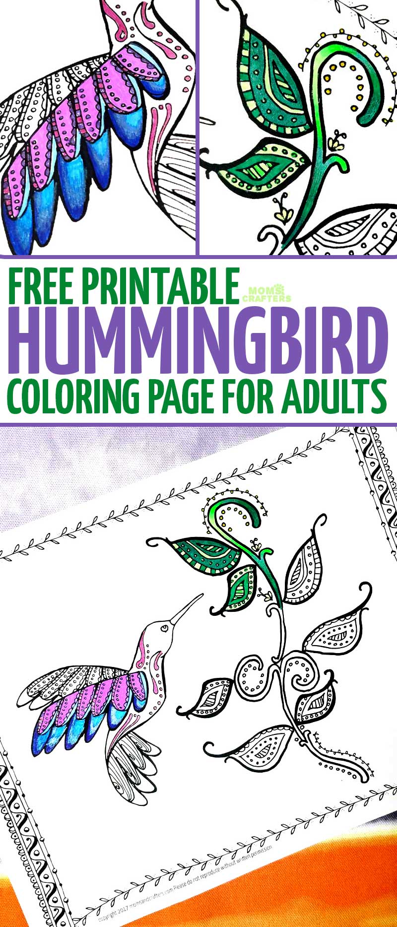 Hummingbird coloring page