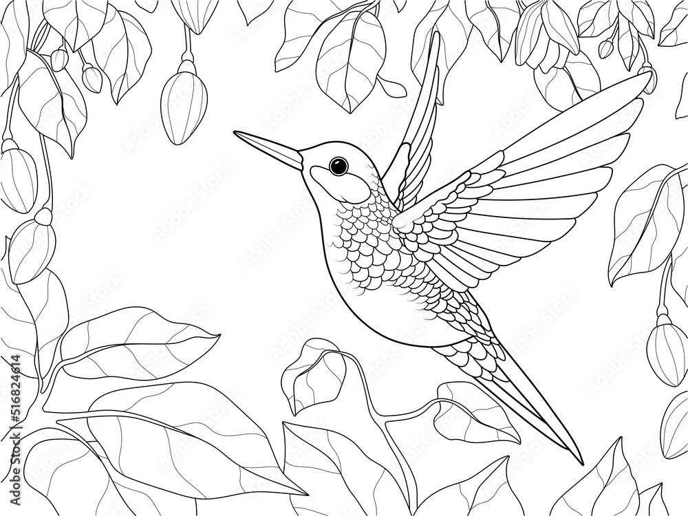 Bird hummingbird in a blooming garden vector page for printable children coloring book vector