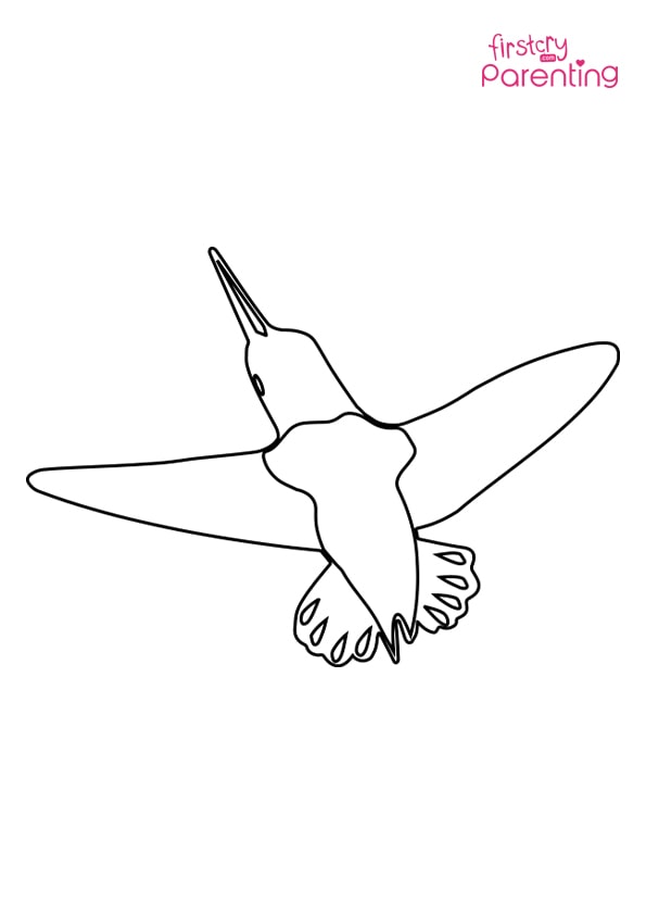 Easy printable hummingbird coloring pages for kids