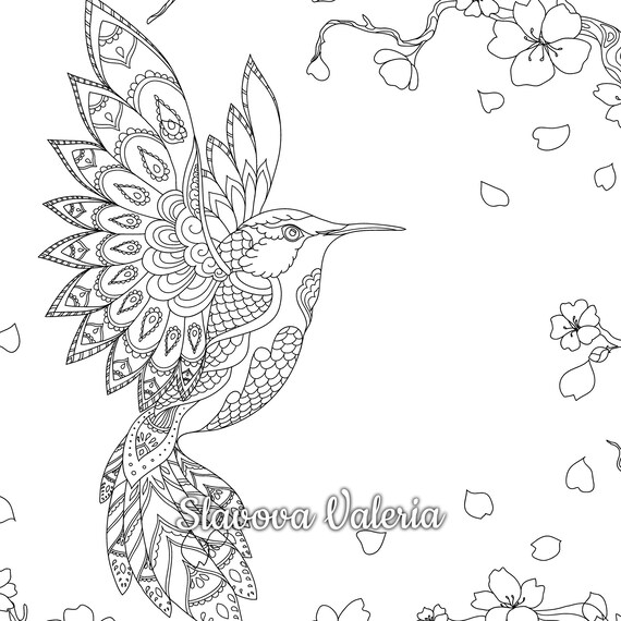 Hummingbird and sakura coloring page printable coloring page hummingbird flowers digital coloring sheet