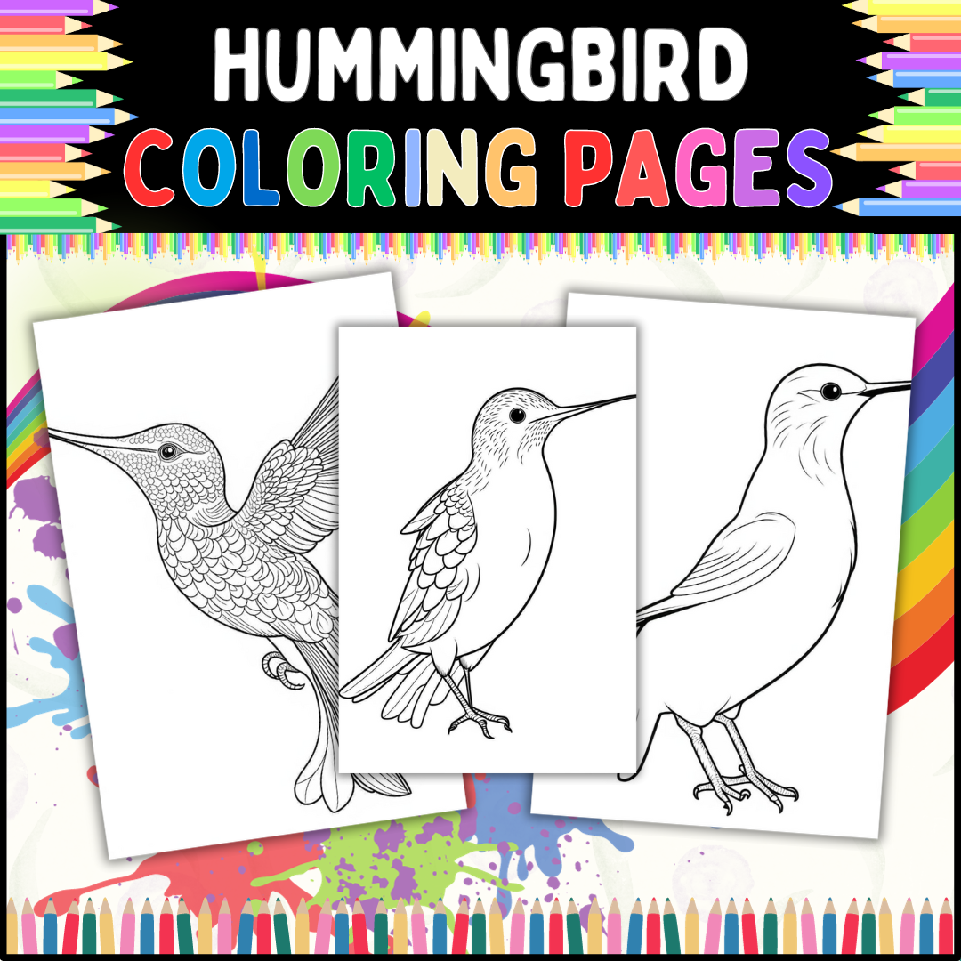 Hummingbird coloring pages fun and educational for kids of all ages made by teachers