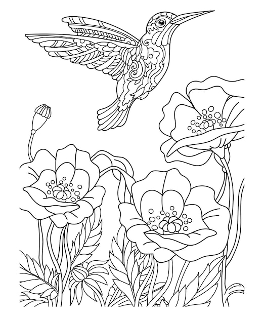 Premium vector hummingbird coloring page for adults