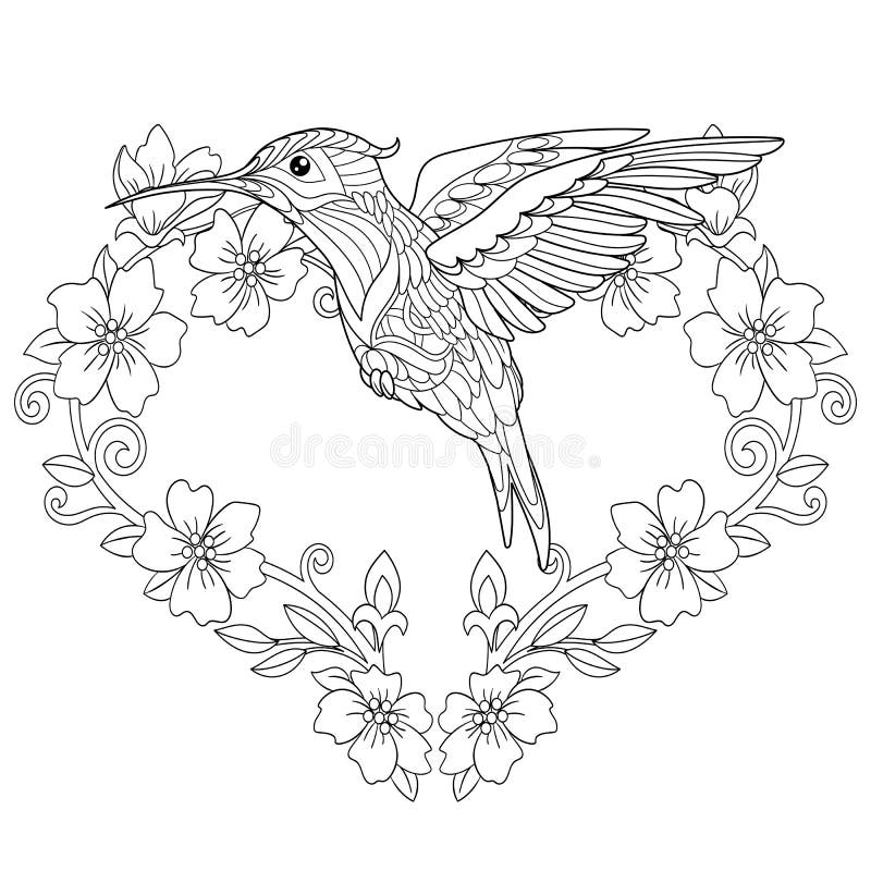 Zentangle hummingbird coloring page stock vector