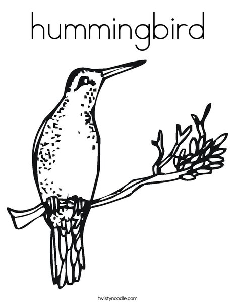 Hummingbird coloring page