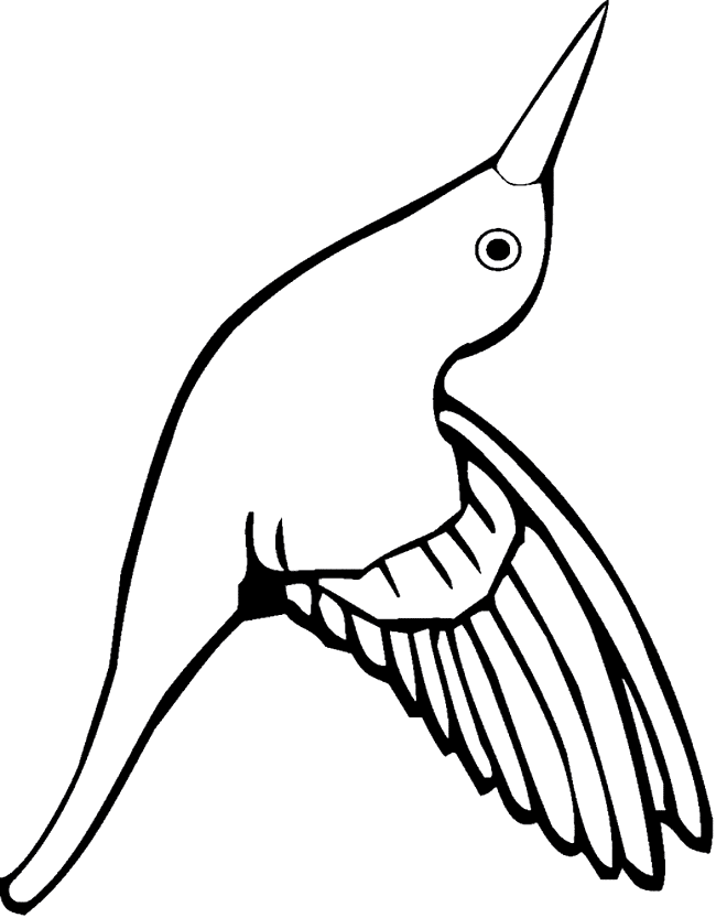 Hummingbird coloring page