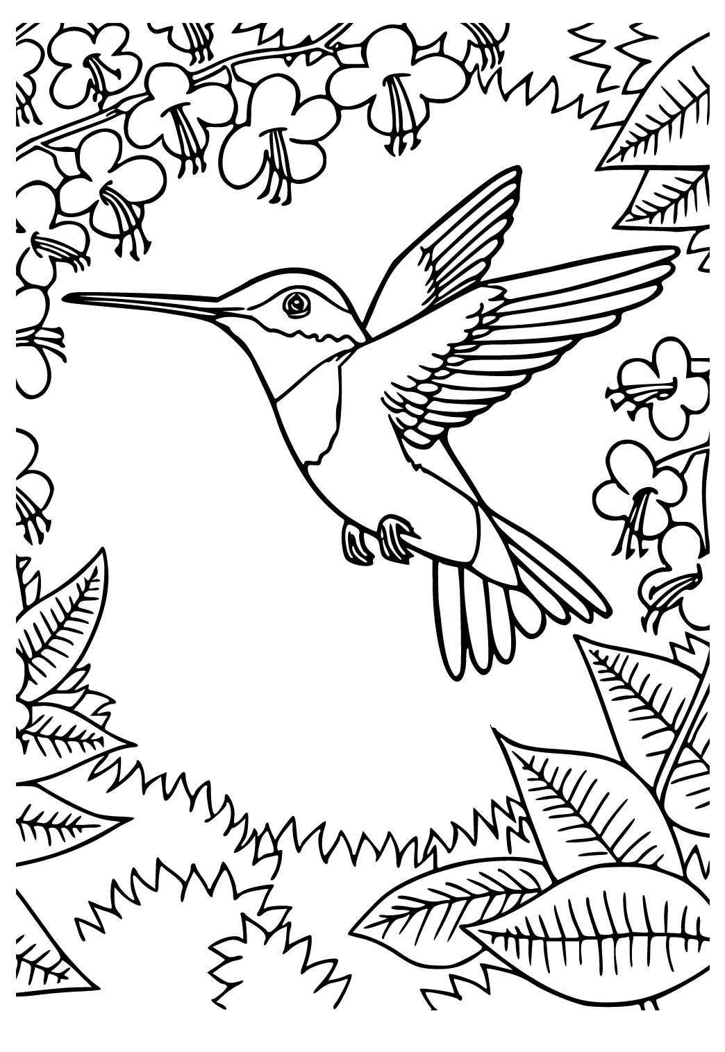 Free printable hummingbird flight coloring page for adults and kids