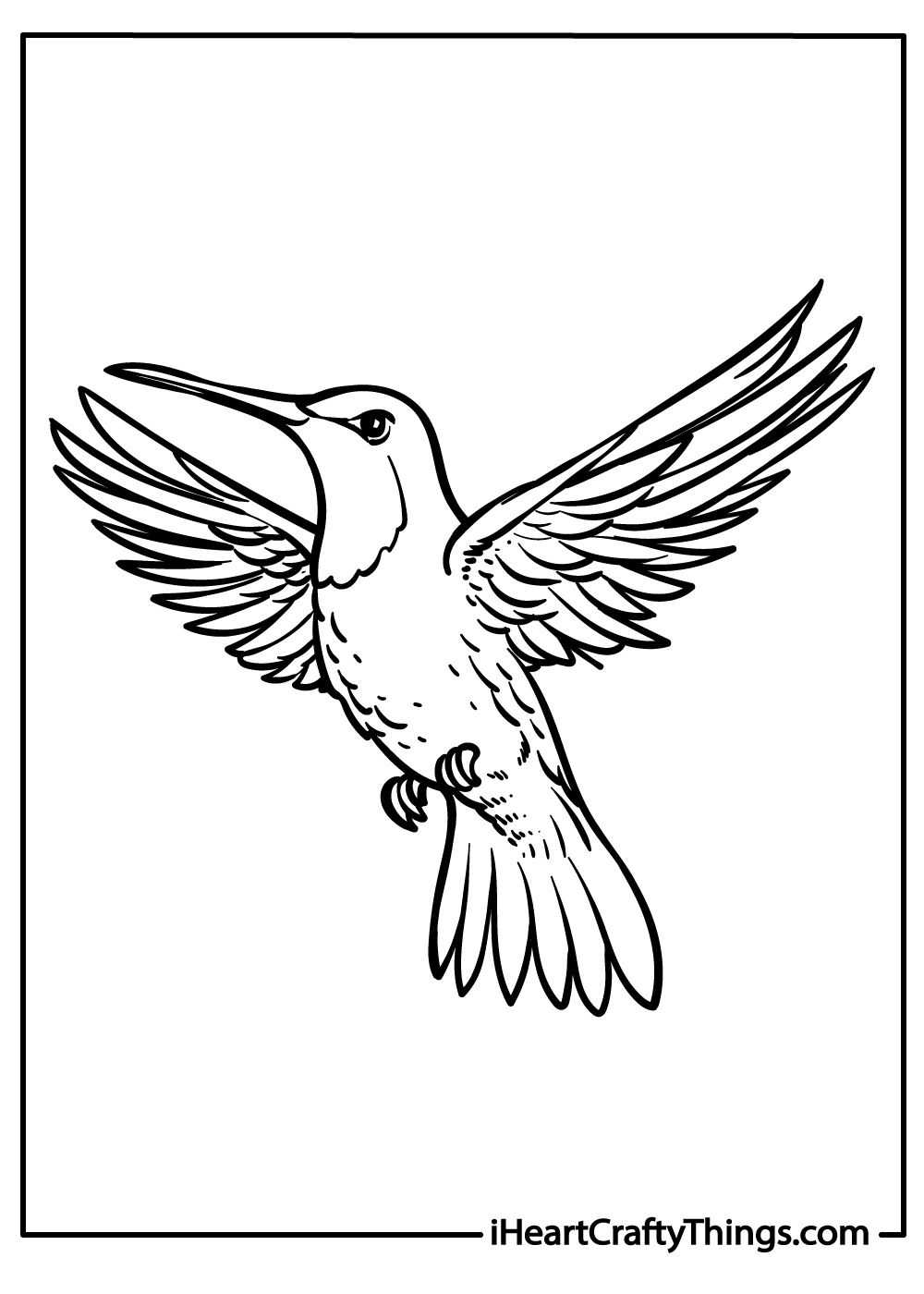 Hummingbird coloring pages free printables