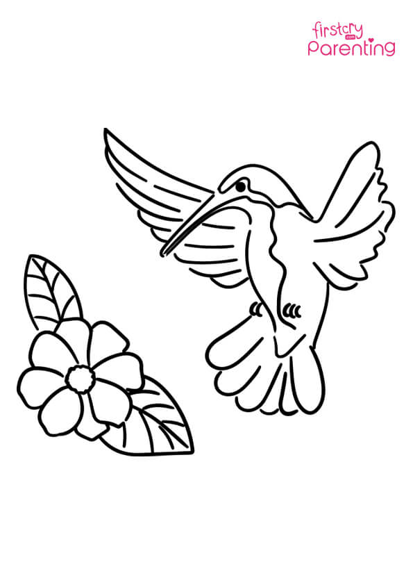 Easy printable hummingbird coloring pages for kids