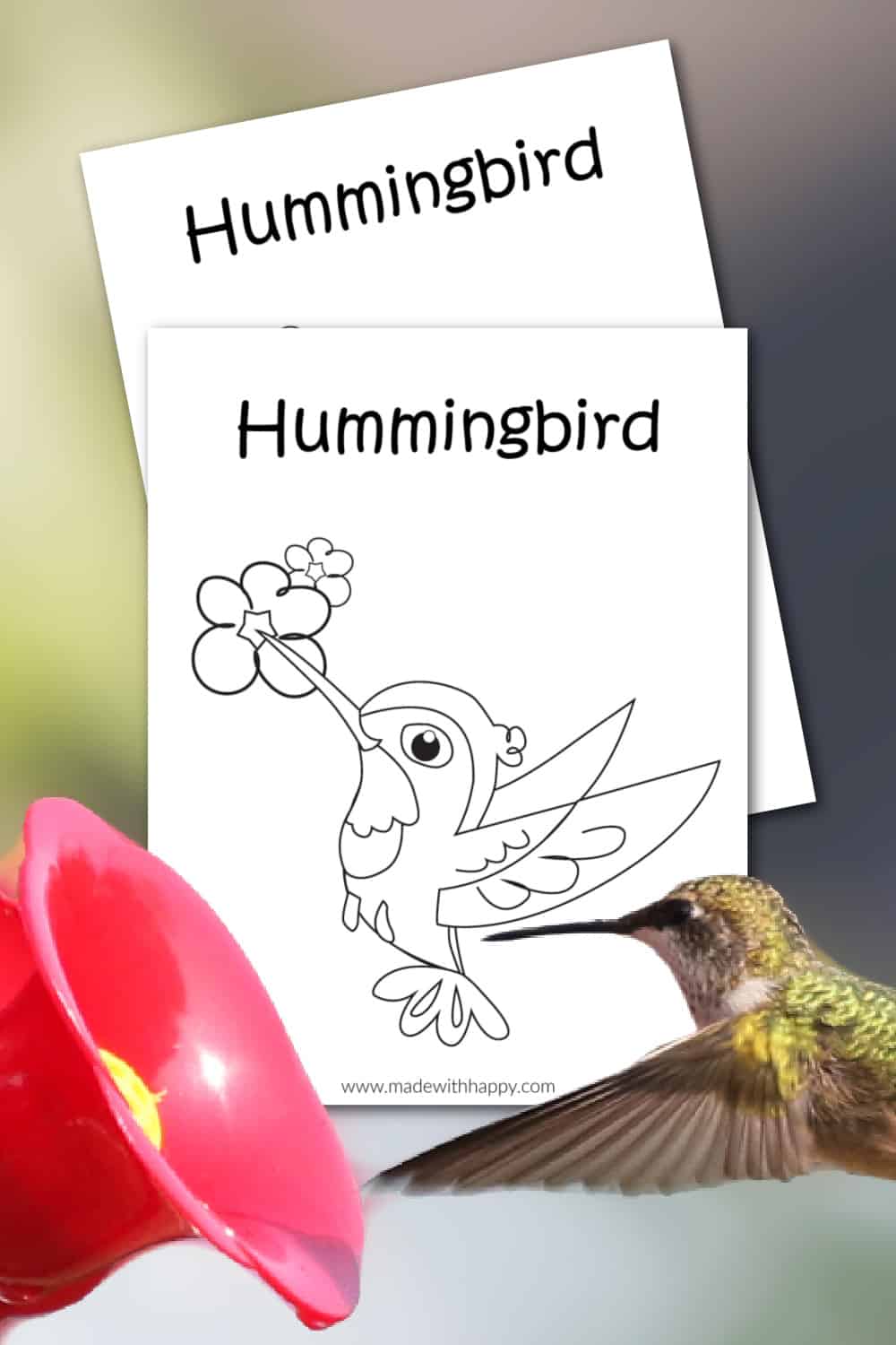 Free printable hummingbird coloring page for kids