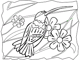 Hummingbirds coloring pages and printable activities